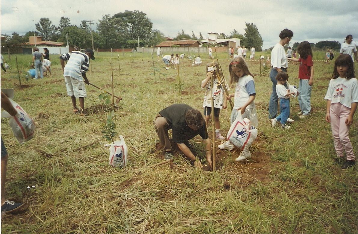 Vista da área sul do Bosque Santa Marta na época do plantio em 1997